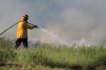 1405) July 2014 - Grass Fire near Roberta Dr (Jonathan Sennetti)