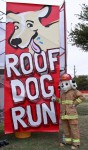Roof Dog Run 10-6-12
